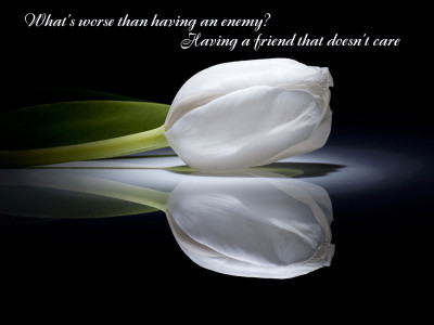 

KumkumArts Quotes Poster 12 x 18 Inch HD Quality Image, Gloss Paper, Unframed, Qty 1 Paper Print(12 inch X 18 inch, Rolled)