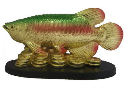 

DivyaMantra Feng Shui Prosperity Arowana Golden Dragon Fish with Gold Coins Potent Energizer of Wealth Decorative Showpiece - 8 cm(Polyresin, Yellow)