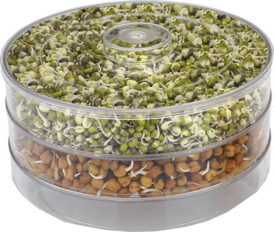 Jen Healthy Sprout Maker ( Medium ) - 1800 ml Plastic Grocery Container(Clear) available at flipkart for Rs.319