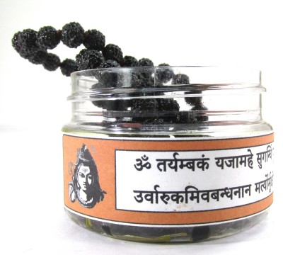 SHIVOHAM Black Rurdraksha Mantra Siddha Mala 108+1 Beads Wood Chain
