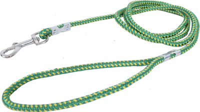 

Wildrace Dog Collar & Leash(, Green
