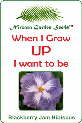 

Nirzara Garden Seeds Blackberry Jam Hibiscus - 30 Seed(30 per packet)