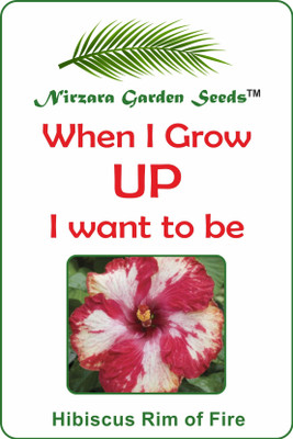 

Nirzara Garden Seeds Hibiscus Rim of Fire - 30 Seed(30 per packet)