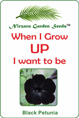 

Nirzara Garden Seeds Balck Petunia - 30 Seed(30 per packet)