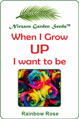

Nirzara Garden Seeds Rainbow Rose Seeds Seed(30 per packet)