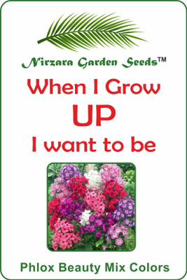 

Nirzara Garden Seeds Phlox Beauty Mix Colors - 30 Seed(30 per packet)