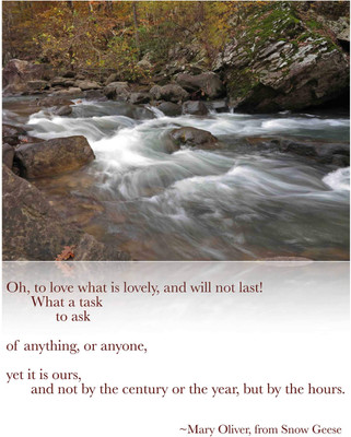 

KumkumArts Quotes Poster 12 x 18 Inch HD Quality Image, Gloss Paper, Unframed, Qty 1 Paper Print(18 inch X 12 inch, Rolled)