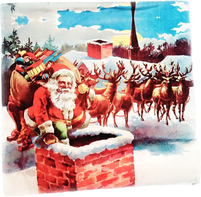 

Ezee Santa Sledge Printed Tissues 3 Ply(Pack of 100)