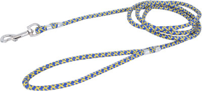 

Wildrace Dog Collar & Leash(, Blue, Yellow
