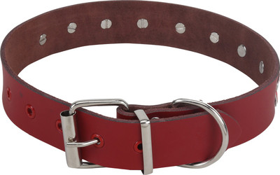 

SRI Imported High Quality Adjustable Dog Collar With Triangular Metal Rivet Studs And Bow Design-1.1 INCH (Cheery Red) Dog & Cat Everyday Collar(, Red