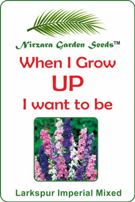 

Nirzara Garden Seeds Larkspur Imperial Mixed - 30 Seed(30 per packet)