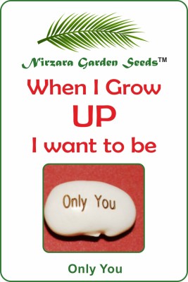 

Nirzara Garden Seeds Valentines Only You Seed(1 per packet)