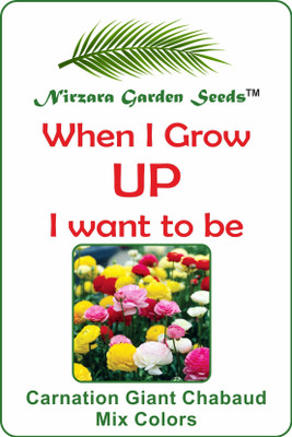 

Nirzara Garden Seeds Carnation Giant Chabaud Mix Colors - 30 Seed(30 per packet)