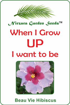 

Nirzara Garden Seeds Beau Vie Hibiscus - 30 Seed(30 per packet)