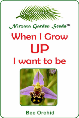 

Nirzara Garden Seeds Bee Orchid (Ophrys bombyliflora) - 30 Seed(30 per packet)