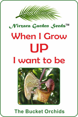 

Nirzara Garden Seeds The Bucket Orchids Seed(30 per packet)