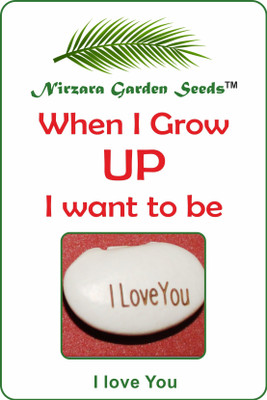 

Nirzara Garden Seeds I Love You Seed(1 per packet)