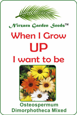 

Nirzara Garden Seeds Osteospermum Dimorphotheca Mixed - 30 Seed(30 per packet)