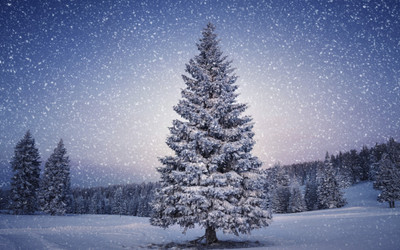 

KumkumArts Christmas Poster 12 x 18 Inch HD Quality Image, Gloss Paper, Unframed, Qty 1 Paper Print(18 inch X 12 inch, Rolled)