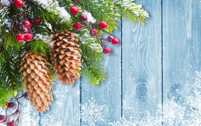 

KumkumArts Christmas Poster 12 x 18 Inch HD Quality Image, Gloss Paper, Unframed, Qty 1 Paper Print(18 inch X 12 inch, Rolled)