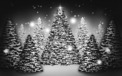

KumkumArts Christmas Poster 12 x 18 Inch HD Quality Image, Gloss Paper, Unframed, Qty 1 Paper Print(18 inch X 12 inch, Rolled)