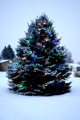 

KumkumArts Christmas Poster 12 x 18 Inch HD Quality Image, Gloss Paper, Unframed, Qty 1 Paper Print(18 inch X 12 inch, Rolled)