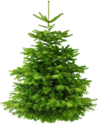 

KumkumArts Christmas Poster 12 x 18 Inch HD Quality Image, Gloss Paper, Unframed, Qty 1 Paper Print(18 inch X 12 inch, Rolled)