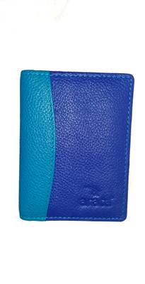

arata 01 10 Card Holder(Set of 01, Blue)