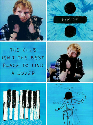 

Ed Sheeran Divide Poster (Size 12 Inch x 18 Inch) (Pack of 1) Paper Print(18 inch X 12 inch, Rolled)