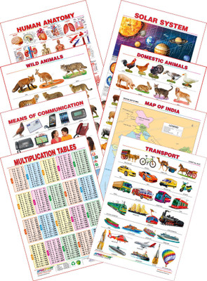 

Spectrum Kid's 1st Learning Charts [S] : Set 29 (Human Anatomy, Solar System, Multiplication Tables, Map of India, Wild Animals, Domestic Animals, Transport & Communications)(Multicolor)