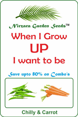 

Nirzara Garden Seeds Combo of Chilly and Carrot - 30 Seed(30 per packet)
