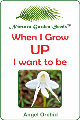 

Nirzara Garden Seeds Angel Orchid Seed(30 per packet)