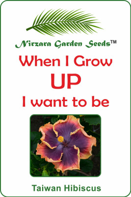 

Nirzara Garden Seeds Taiwan Hibiscus - 30 Seed(30 per packet)