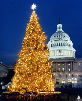 

KumkumArts Christmas Poster 12 x 18 Inch HD Quality Image, Gloss Paper, Unframed, Qty 1 Paper Print(18 inch X 12 inch, Rolled)