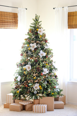 

KumkumArts Christmas Poster 12 x 18 Inch HD Quality Image, Gloss Paper, Unframed, Qty 1 Paper Print(18 inch X 12 inch, Rolled)