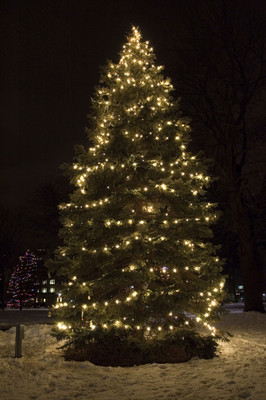 

KumkumArts Christmas Poster 12 x 18 Inch HD Quality Image, Gloss Paper, Unframed, Qty 1 Paper Print(18 inch X 12 inch, Rolled)