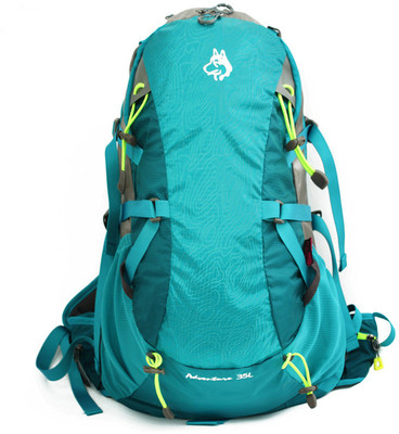 

Husky Travel Rucksack Travel Bag 35 L Backpack(Blue)