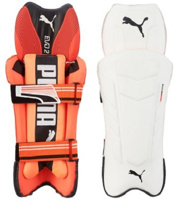 

Puma EVO 2 Men's (39 - 43 cm) Wicket Keeping Pad(White, Men, Senior)