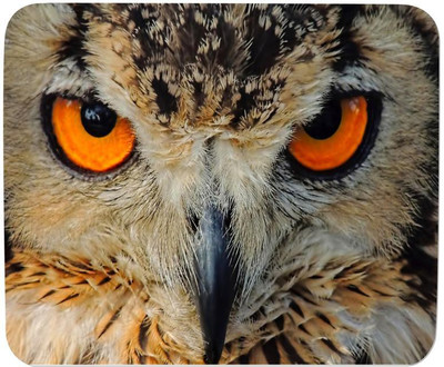 

GMX Mouse Pads for Computer, Laptop Danger Owl print for gaming, work, comfortable mouse pad - S.No : 0135 Mousepad(Multicolor)