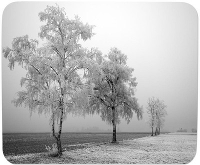 

GMX Mouse Pads for PC, Laptop Black & White Effect print for Laptop Gaming - Mose pad under 200rs - S.No : 0169 Mousepad(Multicolor)