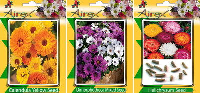 

Airex Calendula Yellow, Dimorphotheca Mixed and Helichrysum Flower Seeds (Pack Of 25 Seeds * 3 Per Packet) Seed(25 per packet)