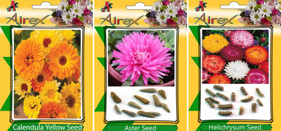 

Airex Calendula Yellow, Aster and Helichrysum Flower Seeds (Pack Of 15 Seeds * 3 Per Packet) Seed(15 per packet)