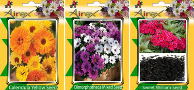 

Airex Calendula Yellow, Dimorphotheca Mixed and Sweet William Flower Seeds (Pack Of 20 Seeds * 3 Per Packet) Seed(20 per packet)