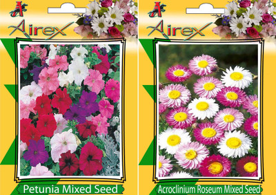 Airex Petunia Mixed and Acroclinium Roseum Mixed Flower Seeds (Pack Of 15 Seeds * 2 Per Packet) Seed(15 per packet)