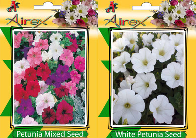 

Airex Petunia Mixed and White Petunia Flower Seeds (Pack Of 25 Seeds * 2 Per Packet) Seed(25 per packet)