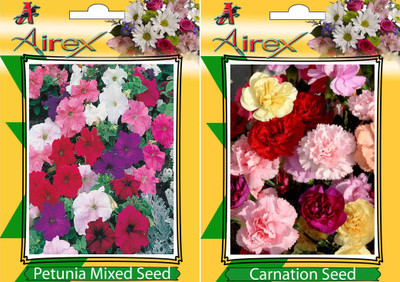 

Airex Petunia Mixed and Carnation Flower Seeds (Pack Of 15 Seeds * 2 Per Packet) Seed(15 per packet)