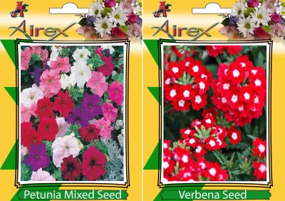 Airex Petunia Mixed and Verbena Flower Seeds (Pack Of 20 Seeds * 2 Per Packet) Seed(20 per packet)