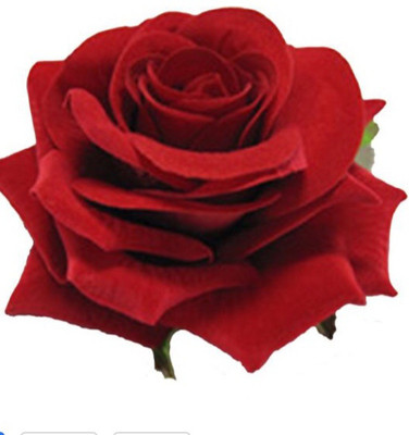 

amor fashions rose clip Hair Clip(Red)