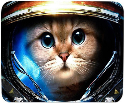 

GMX Mouse Pads for PC, Laptop Funny Cat print for gaming pc at cheap price - S.No : 0222 Mousepad(Multicolor)