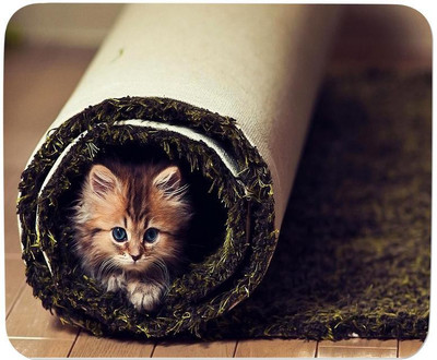 

GMX Mouse Pads for Laptop, Cute Kitten print for PC Computer, Gaming, Cheap price - S.No : 0331 Mousepad(Multicolor)